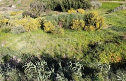 Calheta (Madeira), Madeira