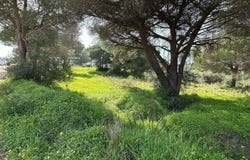 Boliqueime, Algarve