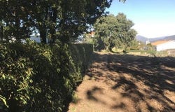 Caminha, Viana do Castelo 4910-357