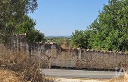 Faro, Algarve