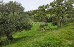 Ourique, Beja District