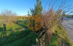 Castro Marim, Faro