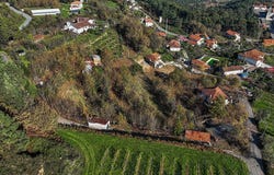 Braga, Braga 4890-027