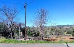 Loulé, Faro 8100-387