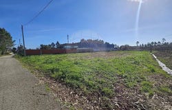 Bustos, Aveiro District