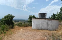 Salgueiro do Campo, Castelo Branco District