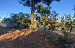Escalos de Cima e Lousa, Castelo Branco District
