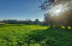 Junqueira, Porto District
