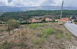 Vila Real, Vila Real District