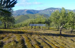 Figueira De Castelo Rodrigo, Guarda 6440