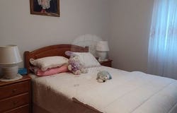 Braga, Braga