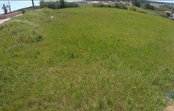 Torres Vedras, Lisboa 2560-011