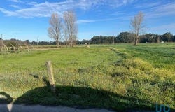Estarreja, Aveiro 3860-590