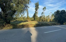 Oliveira do Bairro, Aveiro District 3770-354