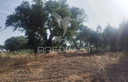 N. Sra da Graça de Póvoa e Meadas, Castelo de Vide, Portalegre District 7320-011