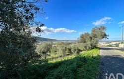 Leiria, Leiria District