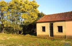 Tomar, Santarém 2300-402