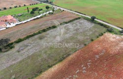 Almoster, Santarém, Santarém District 2005