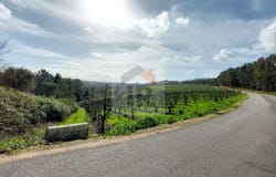 Caldas da Rainha, Leiria District