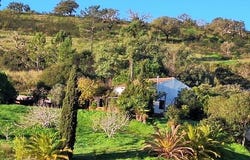 Lagos, Algarve 8600-013
