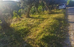 São Vicente da Beira, Castelo Branco District