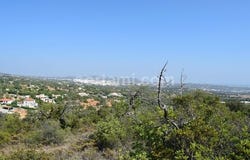 Loule, Faro