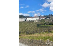 Vila Real, Vila Real District