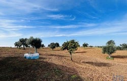 Ferreira do Alentejo, Beja 7900-133