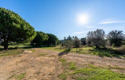 Melides, Setúbal 7570-600