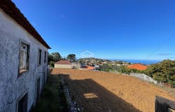 Ilha da Madeira, Madeira