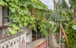 Calheta, Madeira 9370