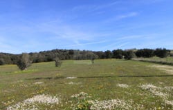 Arraiolos, Évora 7040