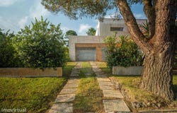 Torreira, Aveiro District