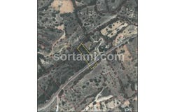 Loule, Faro