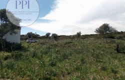 Vila do Bispo, Faro 8650-000