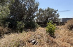 Beja, Beja District