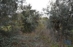 Ferreira do Zêzere, Santarém 2240-102