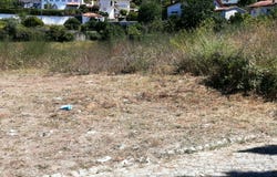 Oliveira de Azeméis, Aveiro District 3720