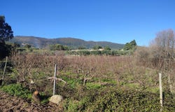 Alpedrinha, Castelo Branco District