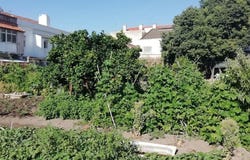 Setúbal, Setubal