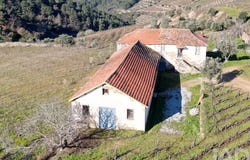 Alijó, Vila Real 5070
