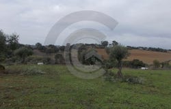 Torres Novas (Santa Maria, Santarém District