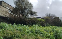 Maiorga, Leiria District