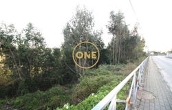 RUÍLHE, Braga