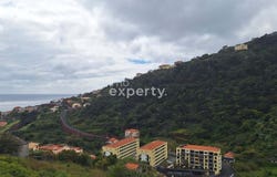 Ilha da Madeira, Madeira