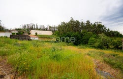 Fafe, Braga