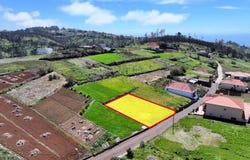 Ilha da Madeira, Madeira