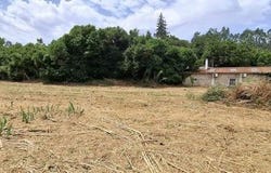 Santarém, Santarém 2005-111