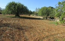 São Brás de Alportel, Algarve