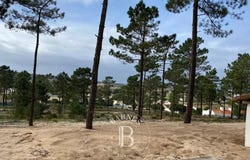 Comporta, Setúbal 7580